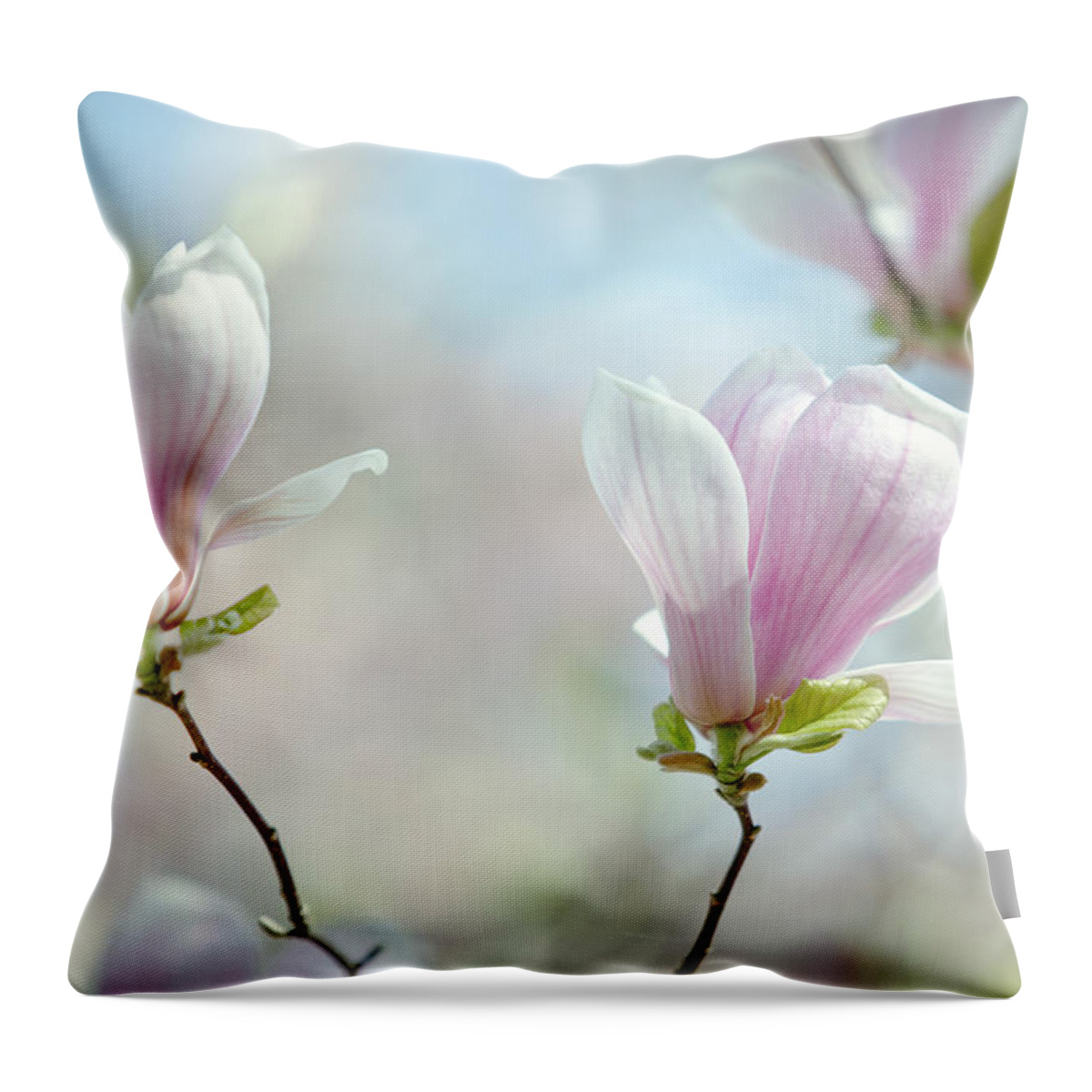 Magnolia Throw Pillow featuring the photograph Magnolia Flowers #16 by Nailia Schwarz
