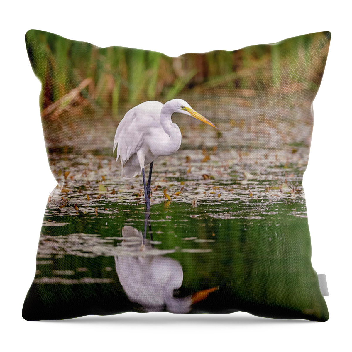 Animal Throw Pillow featuring the photograph White, Great Egret #16 by Peter Lakomy