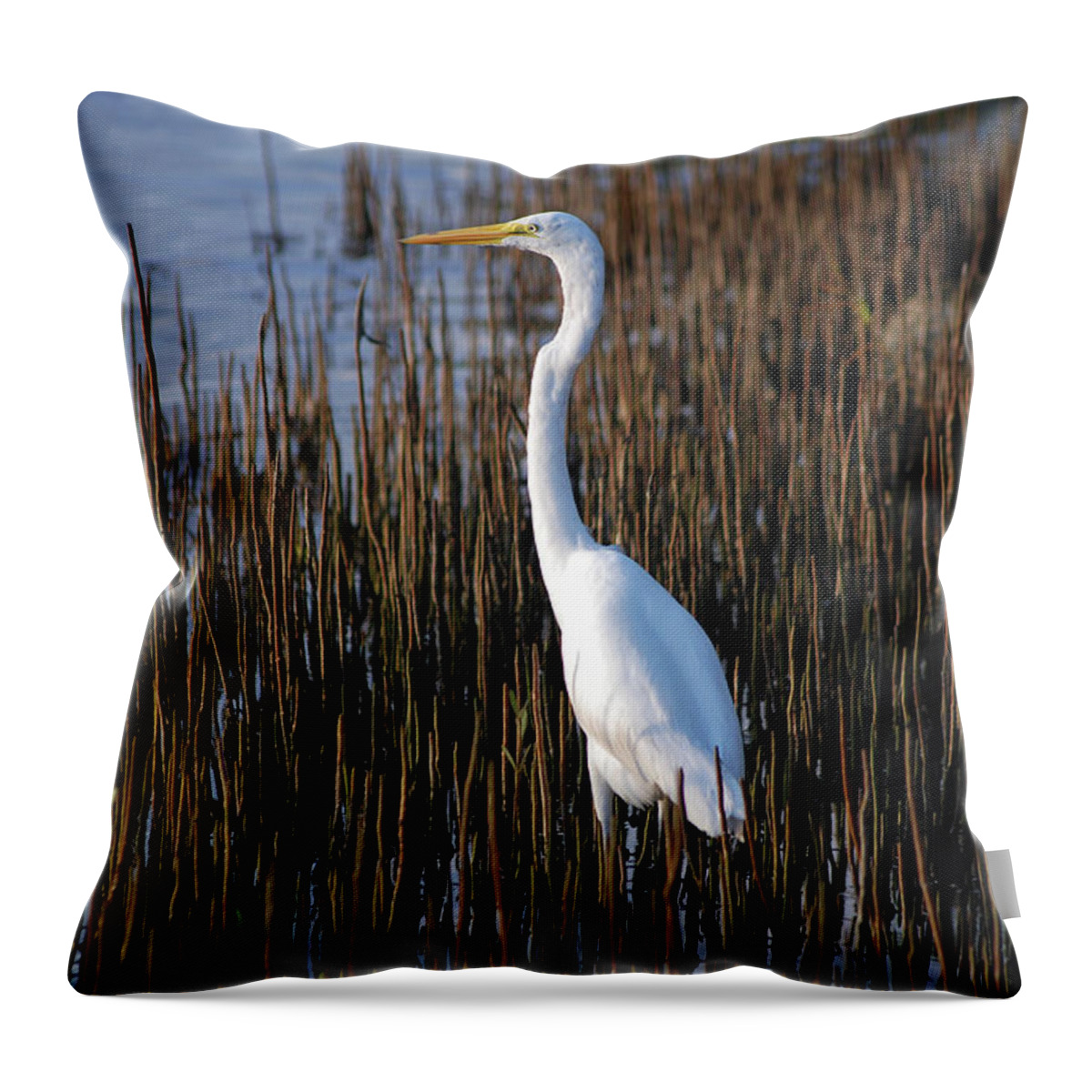  Throw Pillow featuring the photograph 17- Great Egret by Joseph Keane