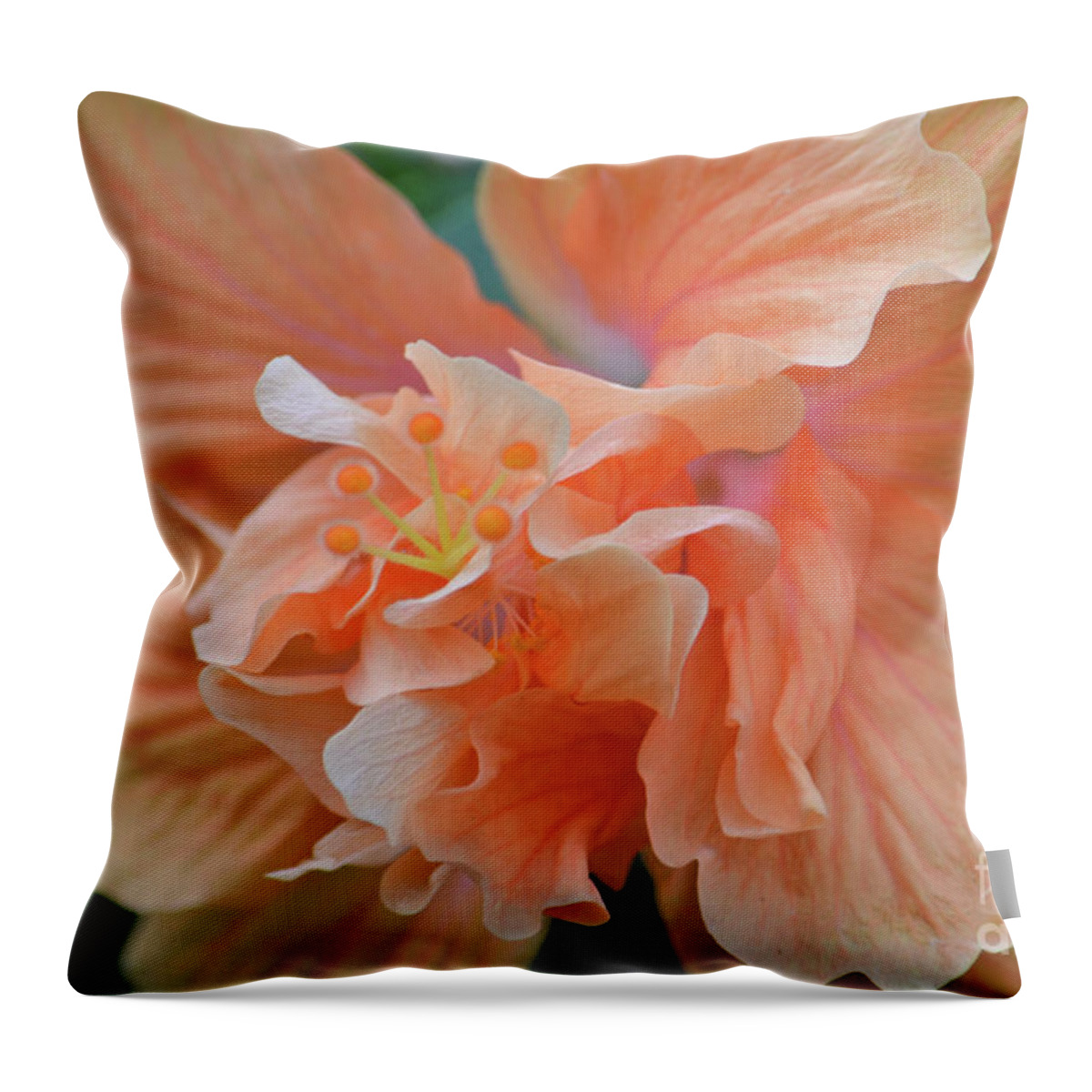 Hibiscus Throw Pillow featuring the photograph 17- Hibiscus Love by Joseph Keane