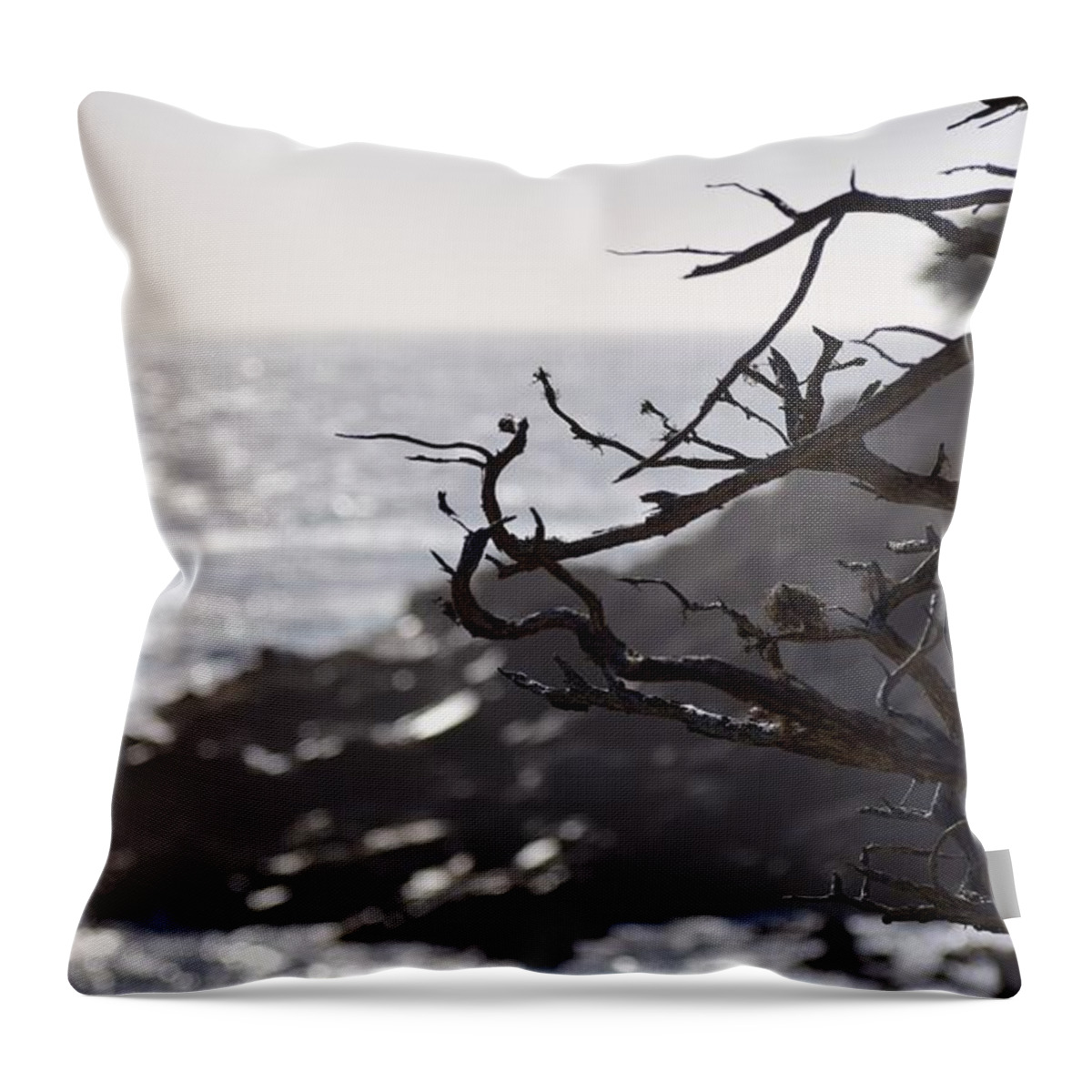 17 Mile Drive Throw Pillow featuring the photograph 17 Mile Drive by Sandy Taylor