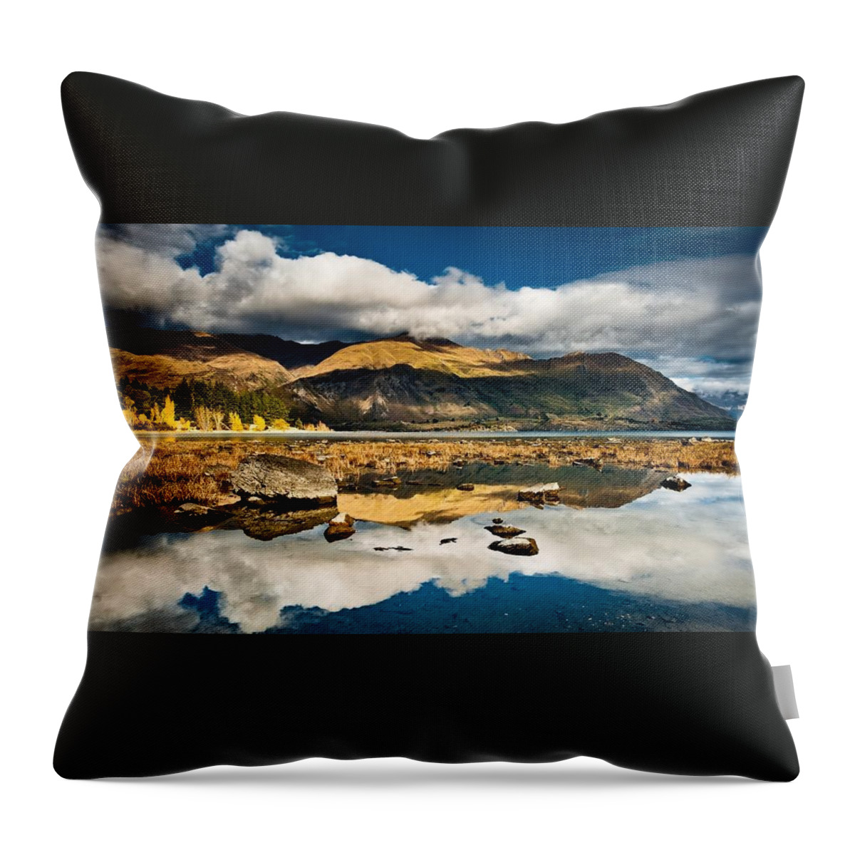 Reflection Throw Pillow featuring the photograph Reflection #17 by Jackie Russo