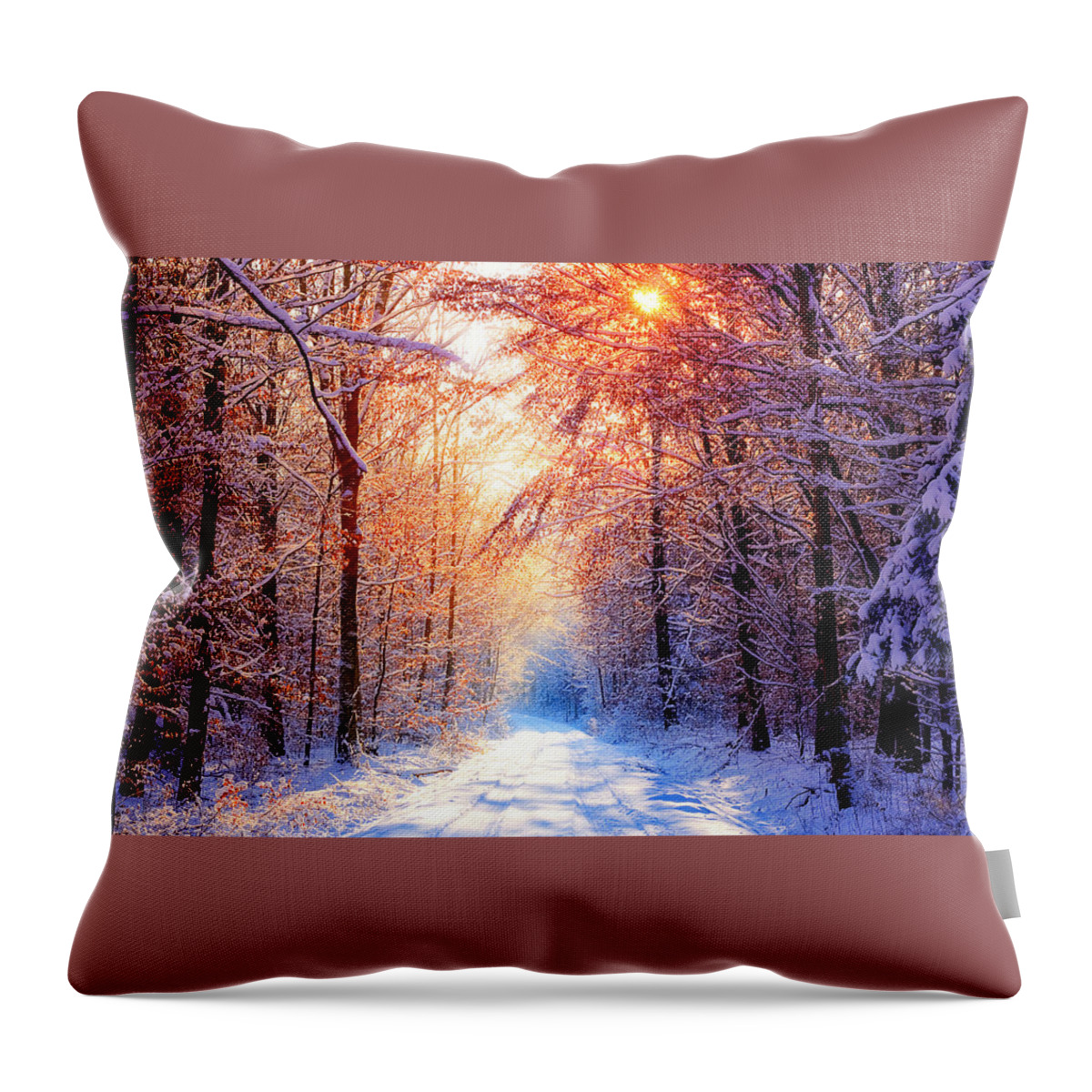 Winter Throw Pillow featuring the photograph Winter #17 by Jackie Russo