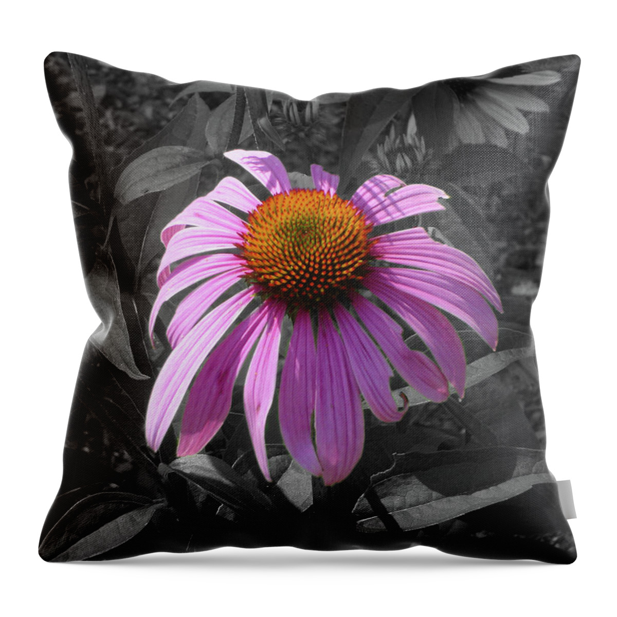 Splash Of Color Throw Pillow featuring the photograph 1724-soc by Splash of Color