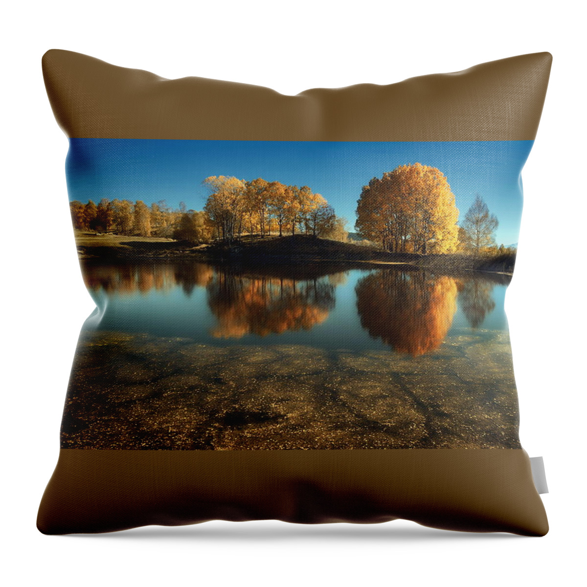 Lake Throw Pillow featuring the photograph Lake #18 by Jackie Russo