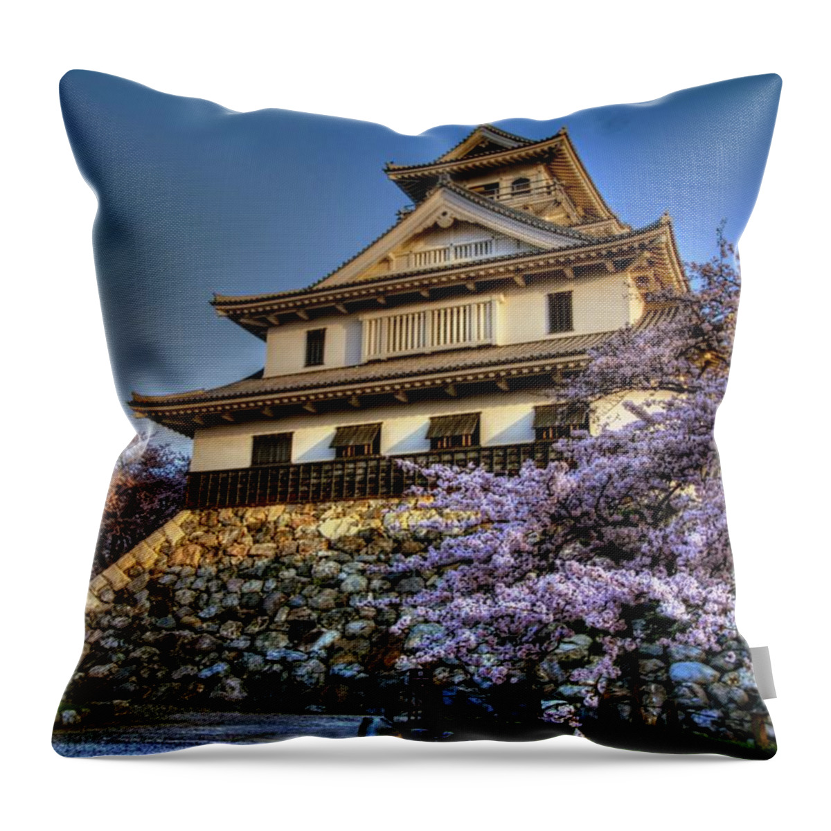 Nagahama Japan Throw Pillow featuring the photograph Nagahama Japan #18 by Paul James Bannerman
