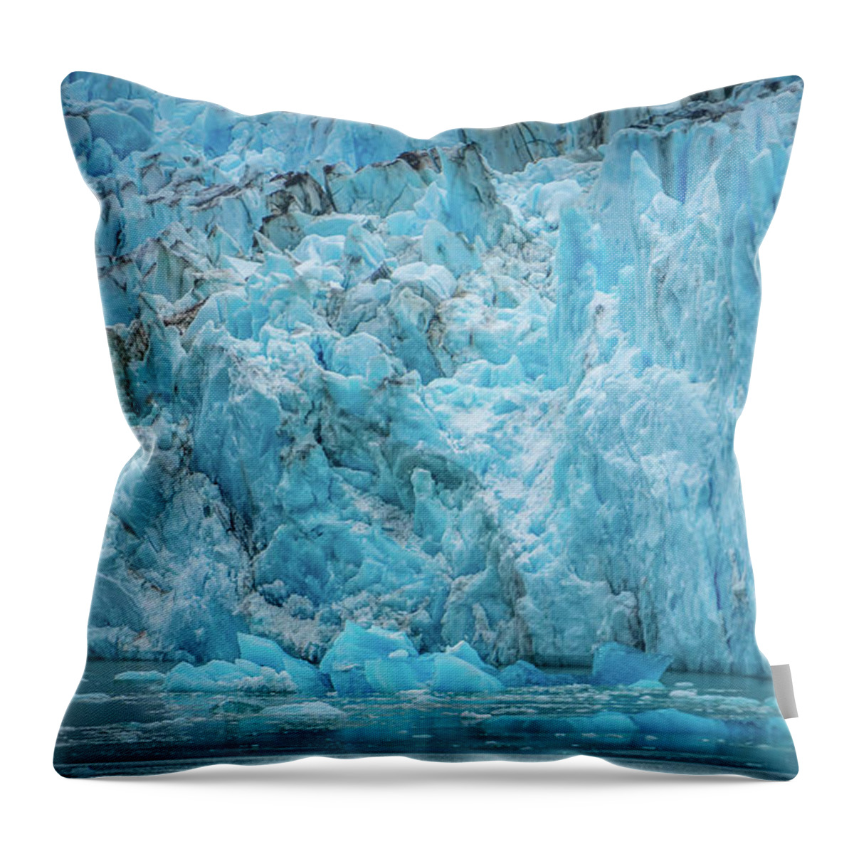 Arm Throw Pillow featuring the photograph Sawyer Glacier at Tracy Arm Fjord in alaska panhandle #18 by Alex Grichenko