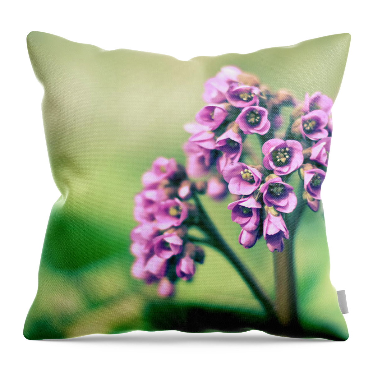 Flower Throw Pillow featuring the photograph Flower #184 by Mariel Mcmeeking