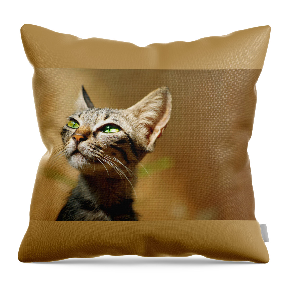 Cat Throw Pillow featuring the digital art Cat #19 by Super Lovely