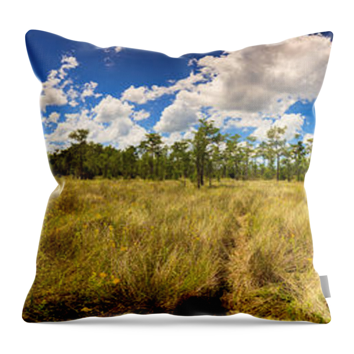 Everglades Throw Pillow featuring the photograph Florida Everglades #19 by Raul Rodriguez