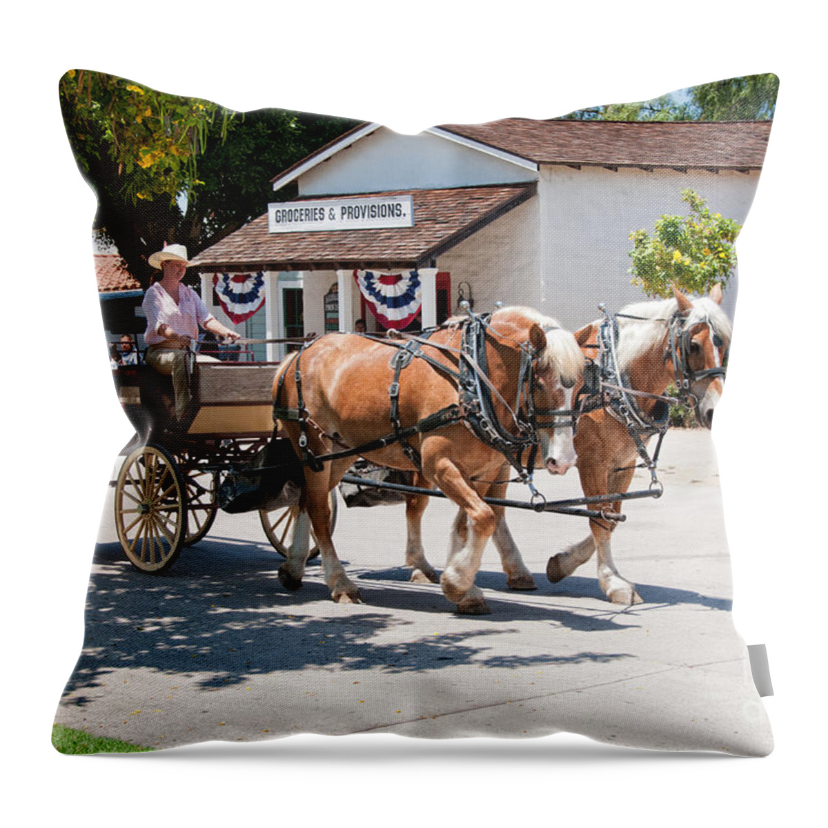 Animals Throw Pillow featuring the digital art Old Town San Diego #19 by Carol Ailles