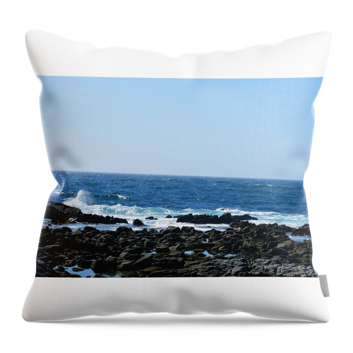 Landscape Throw Pillow featuring the photograph On The Rocks #19 by Marian Jenkins
