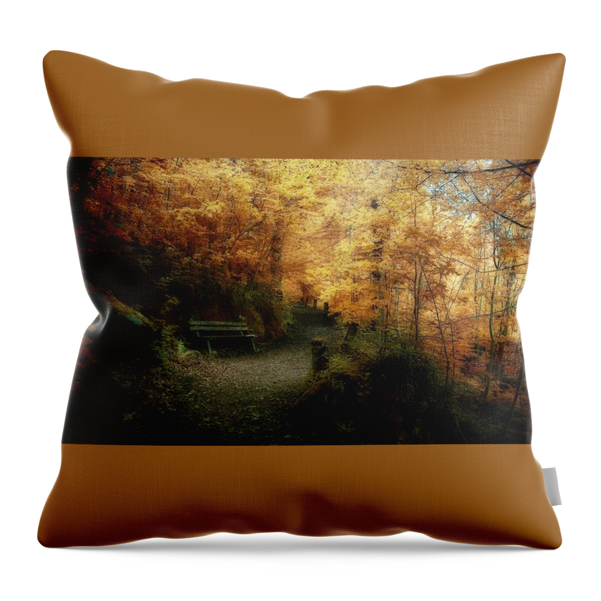 Scenic Throw Pillow featuring the photograph Scenic #19 by Jackie Russo