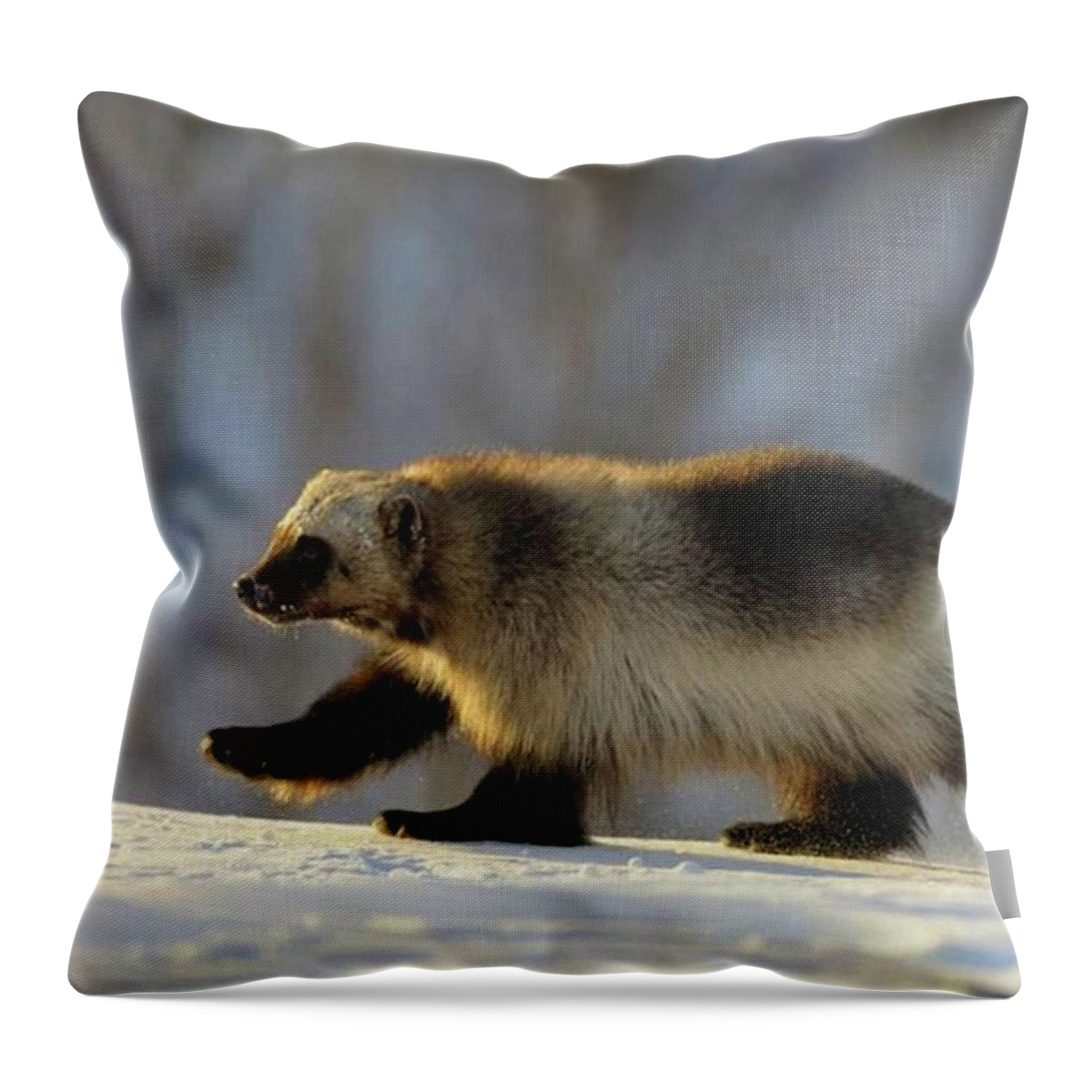 Emotional Intelligence Throw Pillow featuring the photograph Wolvering by Konstantin Novikov