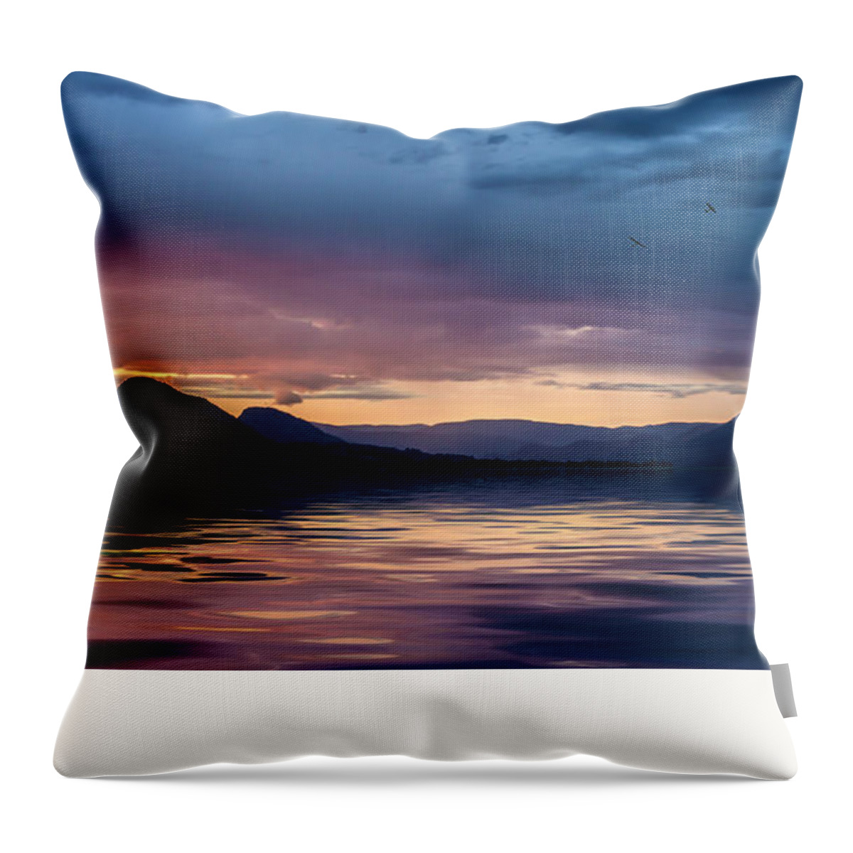 Vaseux Lake; Bc; Oliver; Osoyoos; Penticton; Okanagan; Canada; Lake; Mountain; Sunrise; Dawn; Twilight; John Poon; Cattail; Water; Mist; Fog; Misty; Foggy; Morning; Autumn; Fall; Call Of The Wild; Wilderness Throw Pillow featuring the photograph Across the clouds I see my shadow fly #3 by John Poon