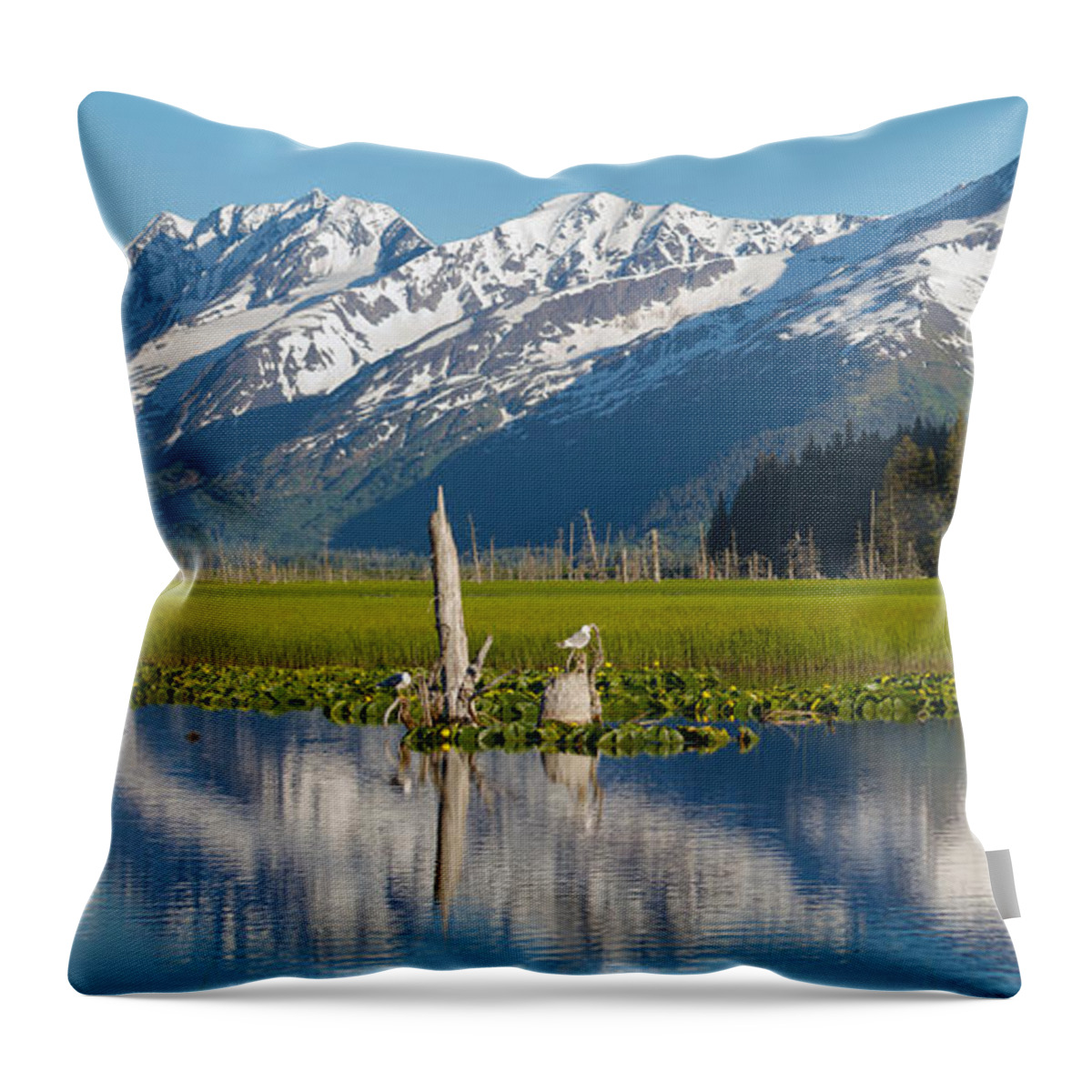 Alaska Throw Pillow featuring the photograph Alaska Coastal Landscape #2 by Scott Slone