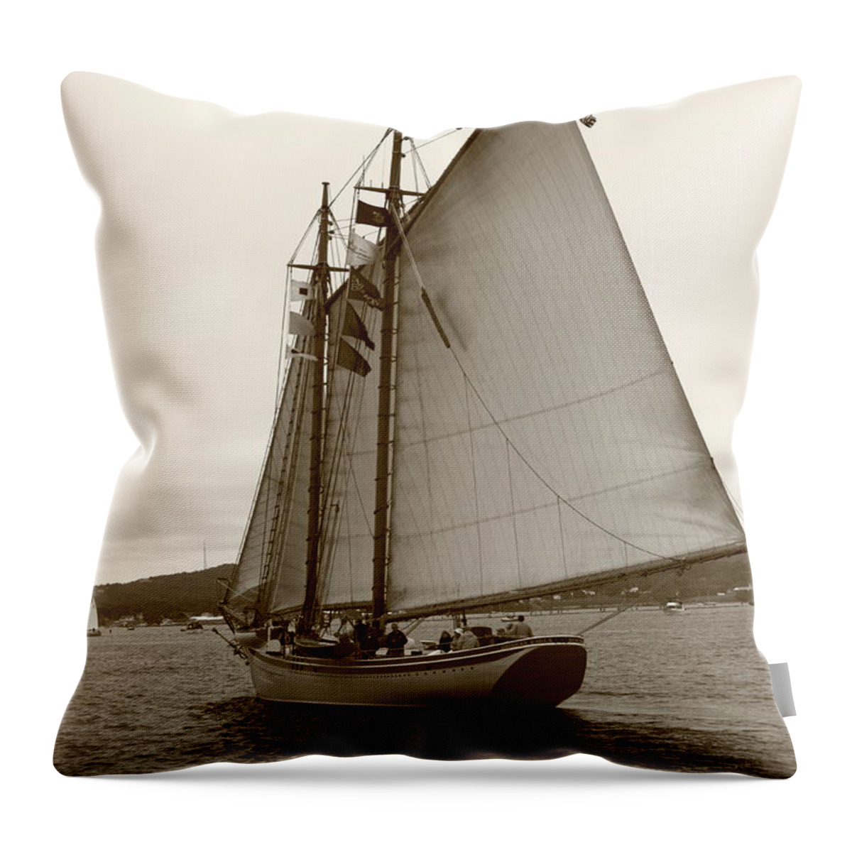 Seascape Throw Pillow featuring the photograph American Eagle #2 by Doug Mills