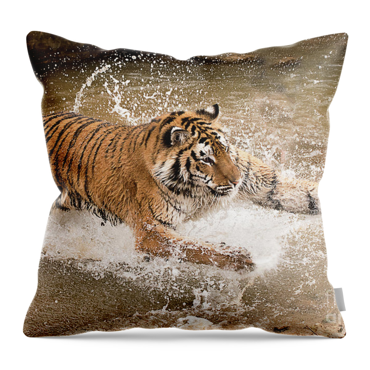 Mammal Throw Pillow featuring the photograph Amur Tiger #2 by Dennis Hammer