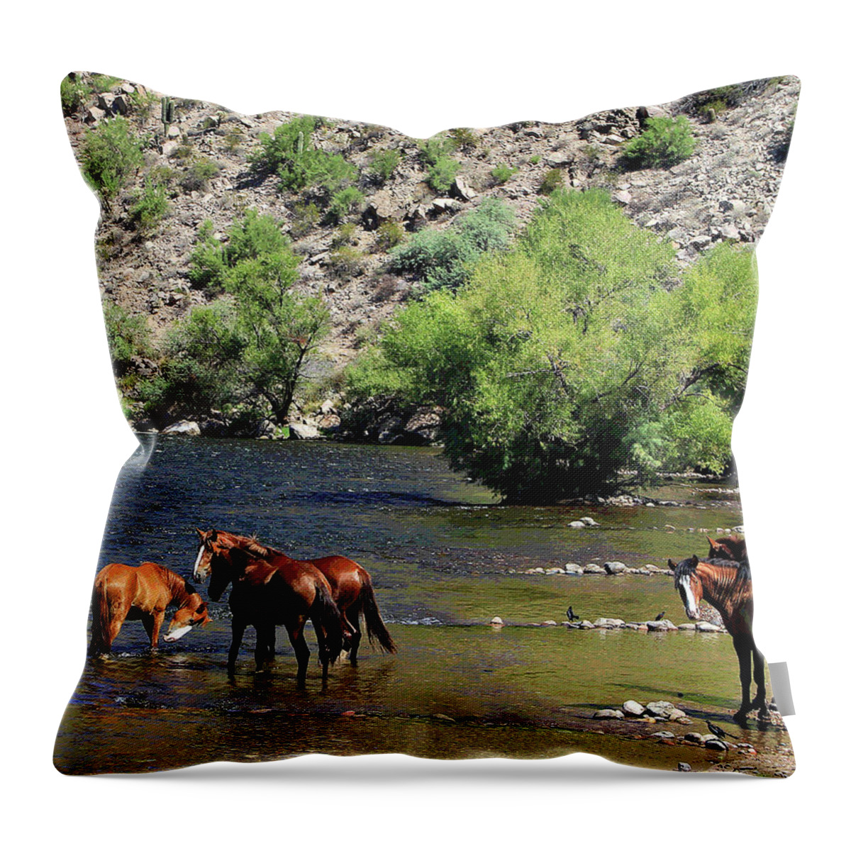 Horses Throw Pillow featuring the photograph Arizona Wild Horses #3 by Matalyn Gardner