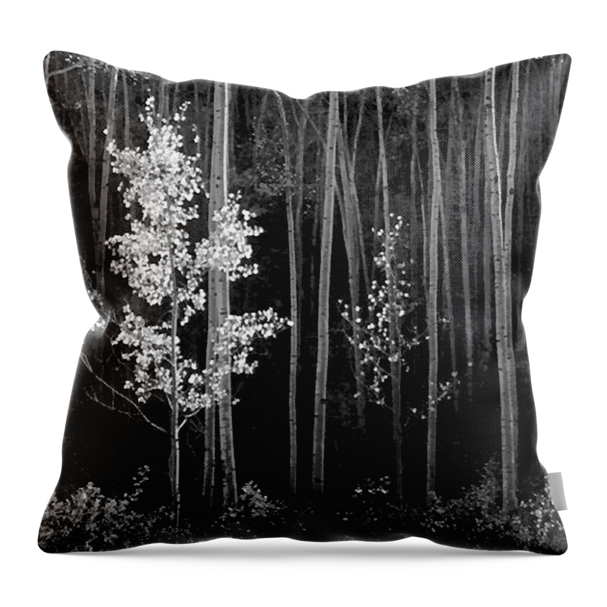 Ansel Adams Throw Pillow featuring the photograph Aspens Northern New Mexico #2 by Ansel Adams