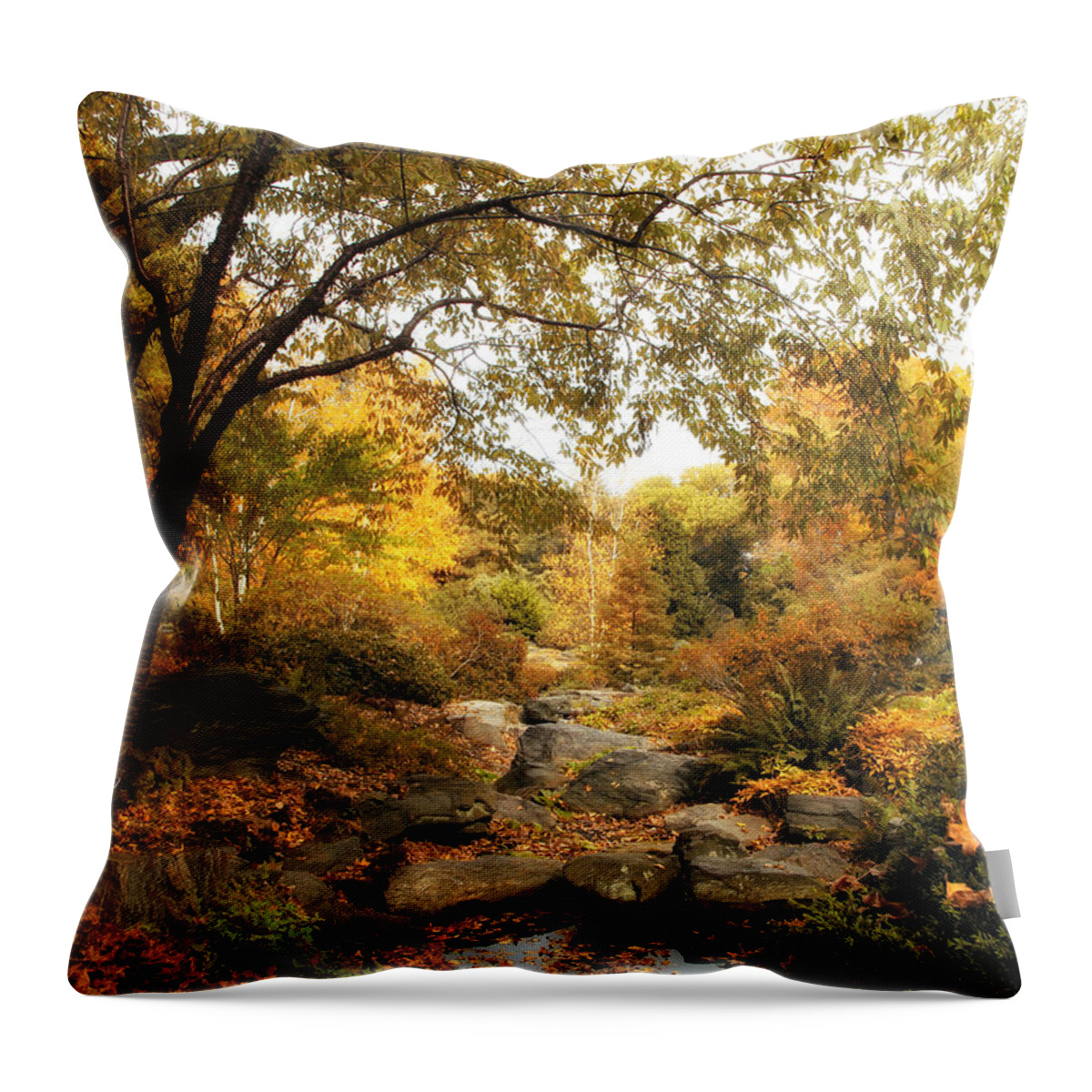 Nature Throw Pillow featuring the photograph Autumn Garden #1 by Jessica Jenney