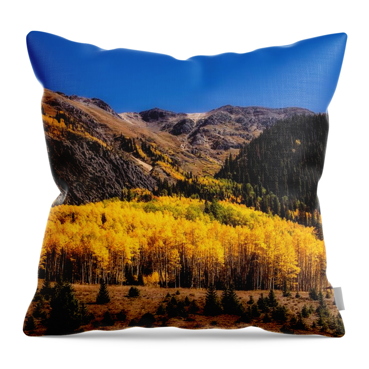 Colorado Throw Pillow featuring the photograph Autumn In Colorado #2 by Mountain Dreams