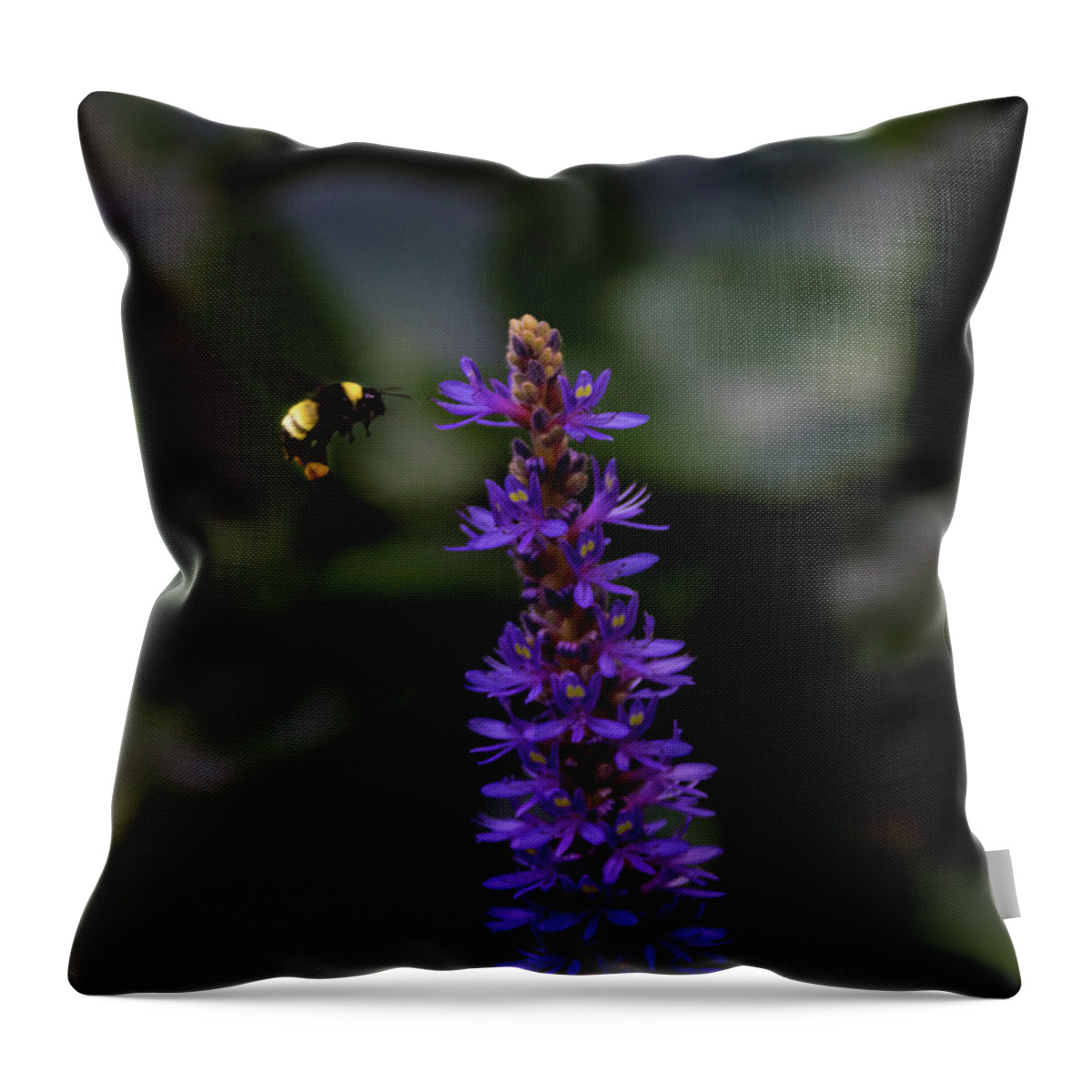 Jay Stockhaus Throw Pillow featuring the photograph Bee #2 by Jay Stockhaus