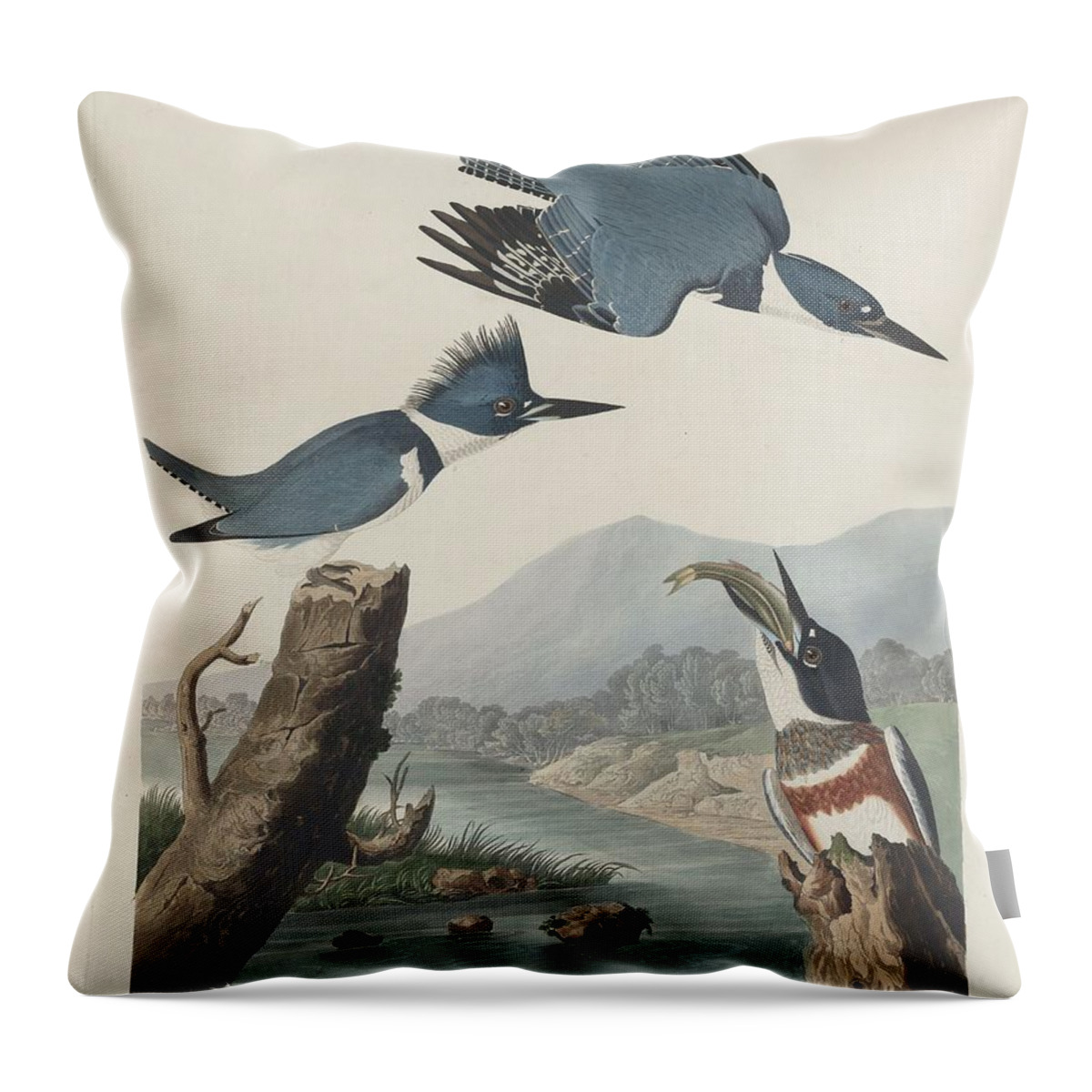 Audubon Throw Pillow featuring the drawing Belted Kingfisher #2 by Dreyer Wildlife Print Collections 