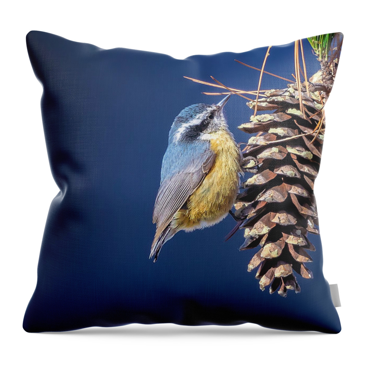 Adorable Throw Pillow featuring the photograph Black-capped Chickadee #2 by Peter Lakomy