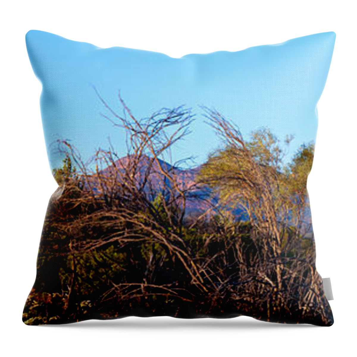 Bunyeroo Valley Wilpena Pound St Mary Peak Lookout Outback Landscape Landscapes Flinders Ranges South Australia Throw Pillow featuring the photograph Bunyeroo Valley #2 by Bill Robinson