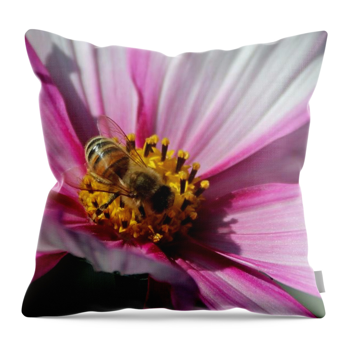Bee Throw Pillow featuring the photograph Busy Bee #3 by Yumi Johnson