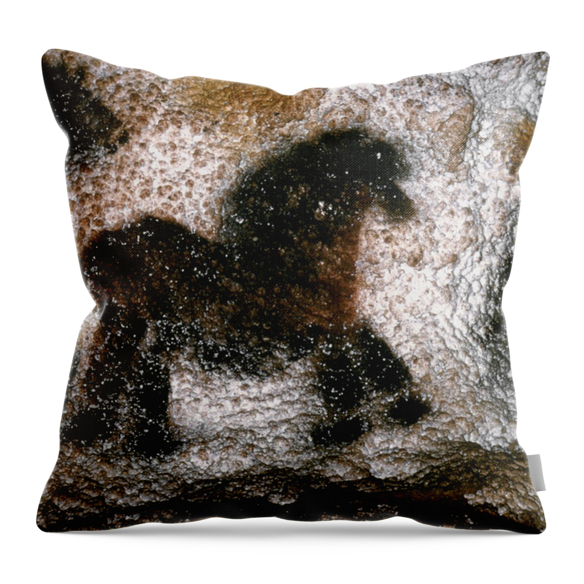 Cave Throw Pillow featuring the photograph Cave Art: Lascaux #2 by Granger