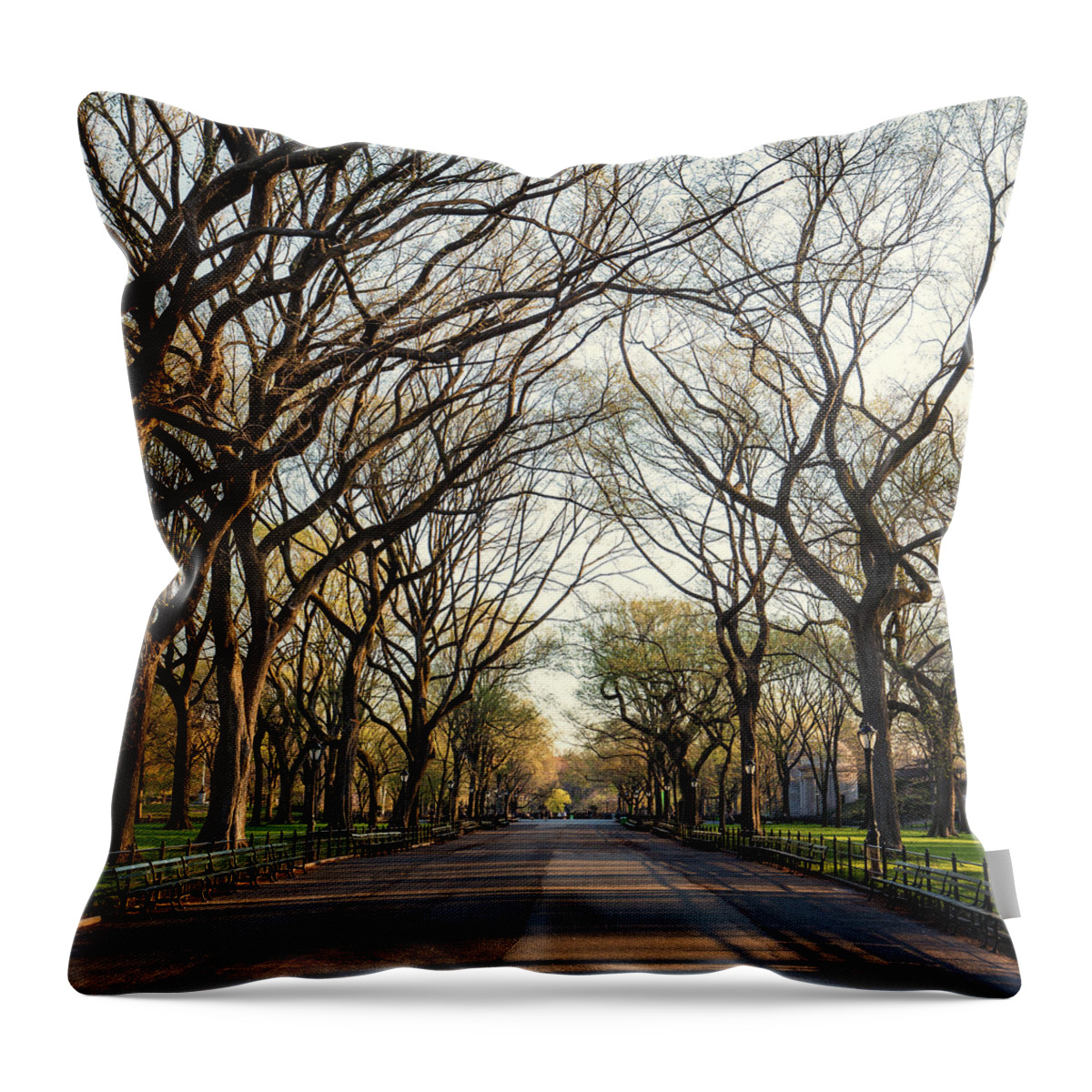 Nyc Throw Pillow featuring the photograph Central Park NYC #2 by Stefan Mazzola