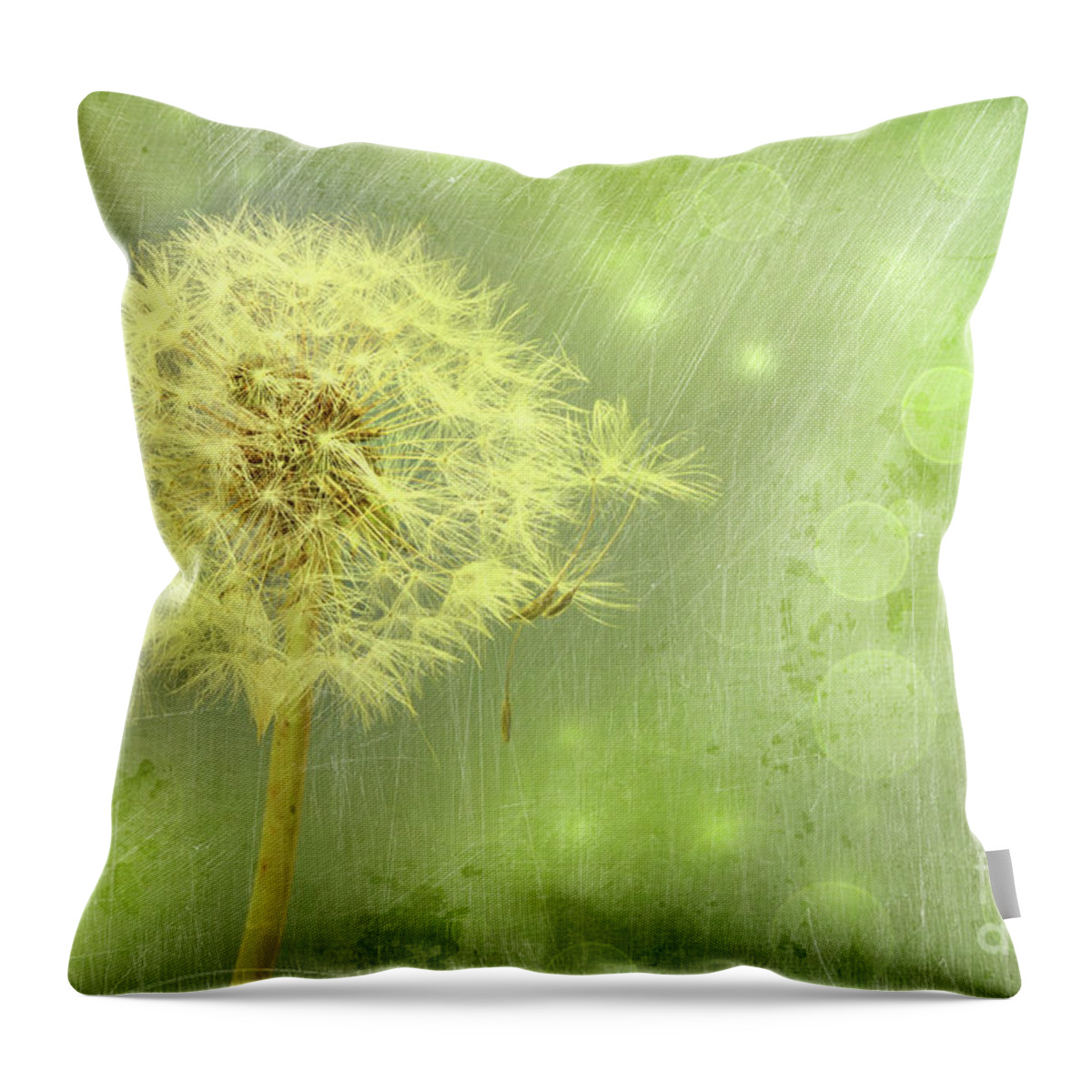 Background Throw Pillow featuring the photograph Closeup of dandelion with seeds #2 by Sandra Cunningham