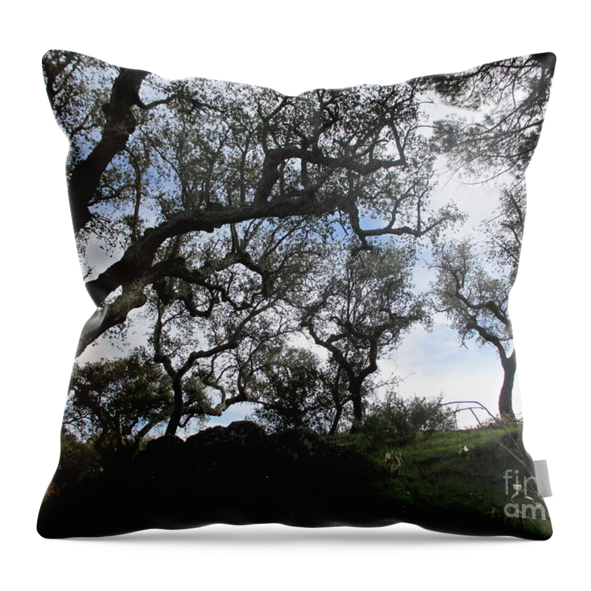 Oak Throw Pillow featuring the photograph Cork Oaks #2 by Chani Demuijlder