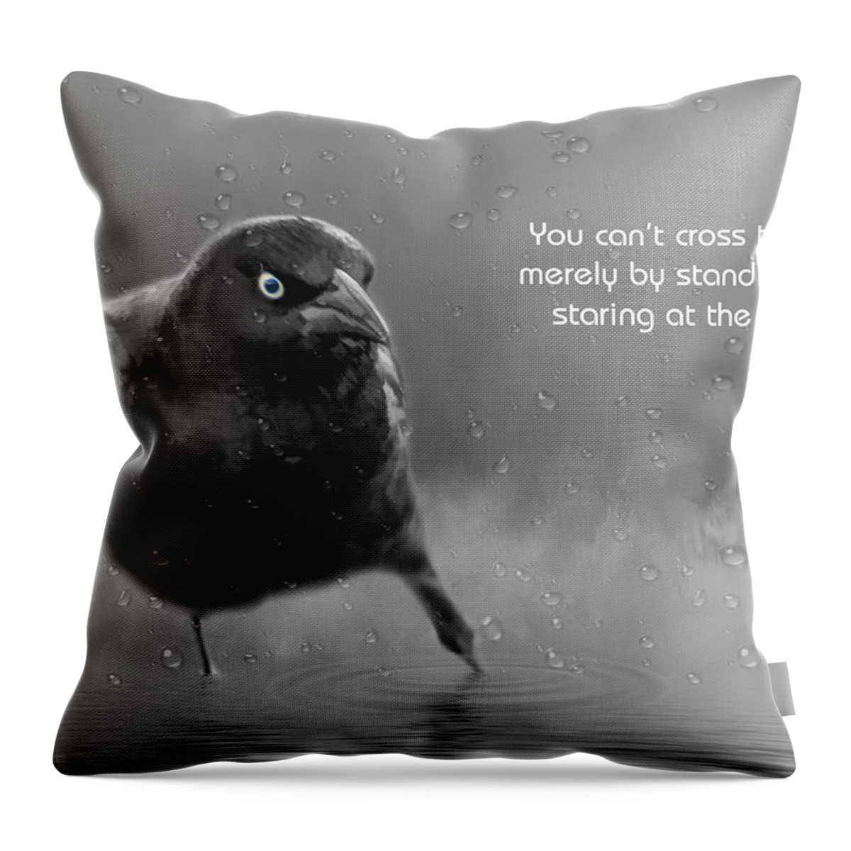 Motivational Throw Pillow featuring the photograph Crossing #2 by Cathy Kovarik