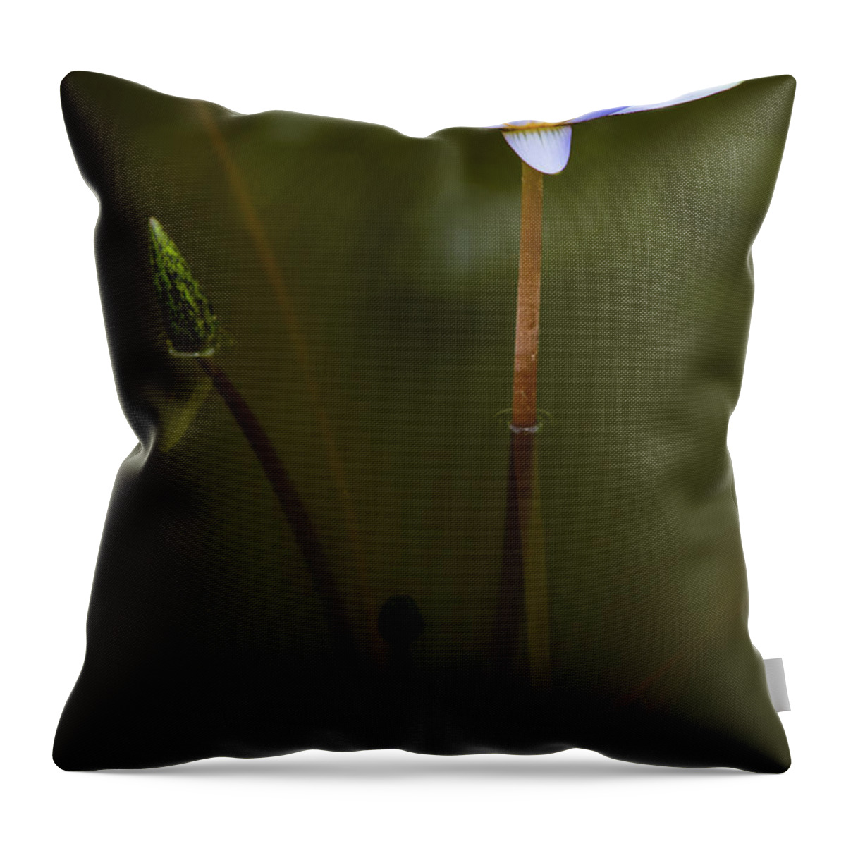 Bloom Throw Pillow featuring the photograph Deep Lily Reflection #2 by Dennis Dame