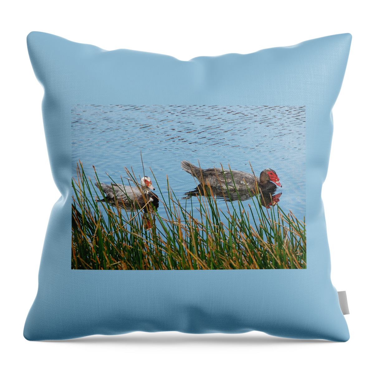 Ducks Throw Pillow featuring the photograph 2- Ducks by Joseph Keane