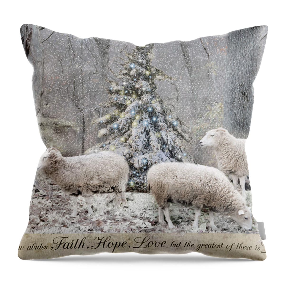 Christmas Throw Pillow featuring the photograph Faith Hope Love #3 by Robin-Lee Vieira