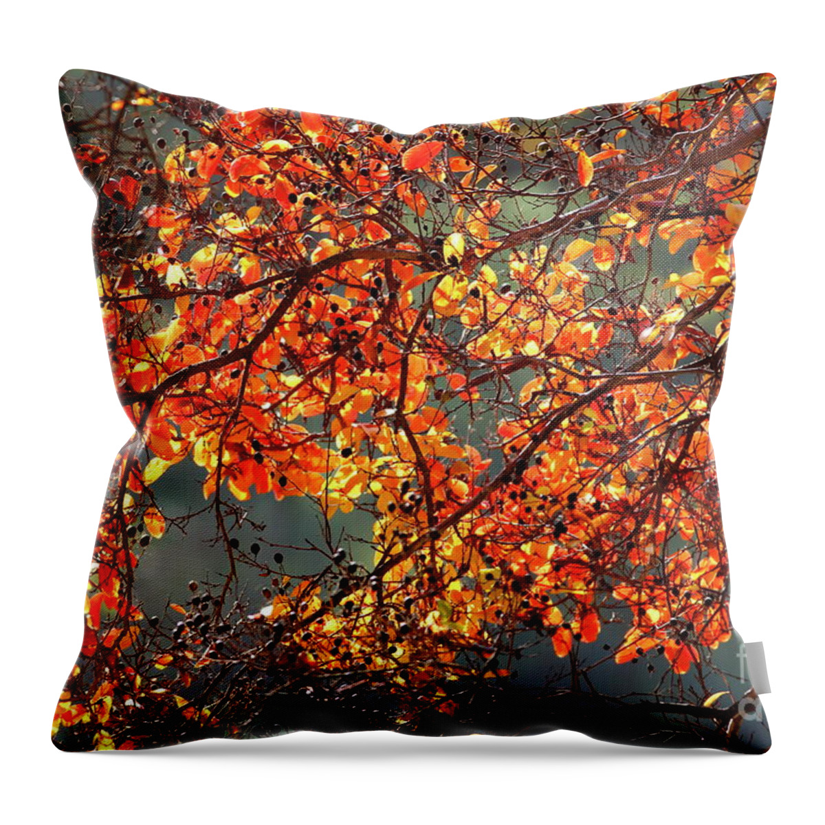 Autumn Throw Pillow featuring the photograph Fall Leaves #2 by Nicholas Burningham