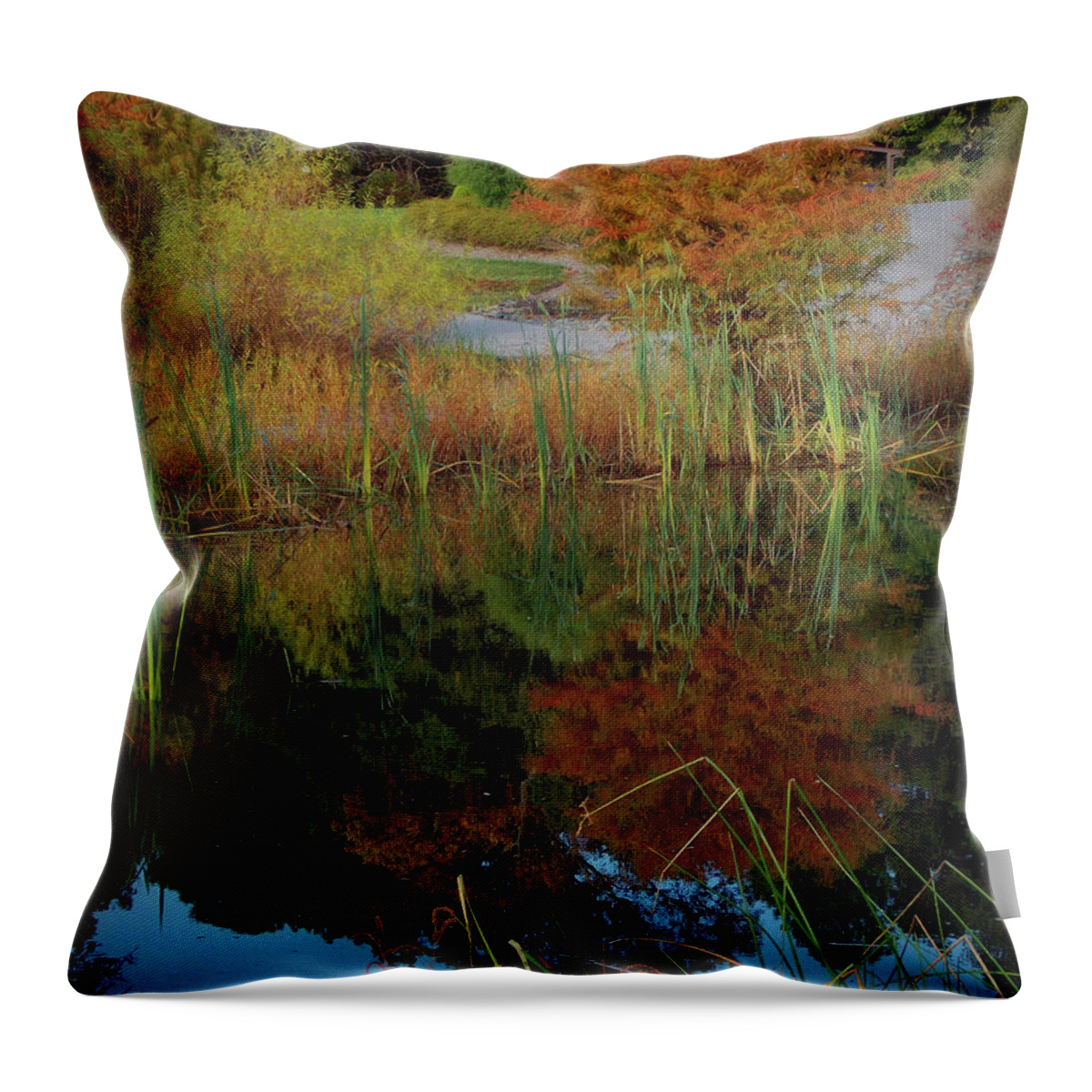Scenic Tours Throw Pillow featuring the photograph Fall Reflections #2 by Skip Willits