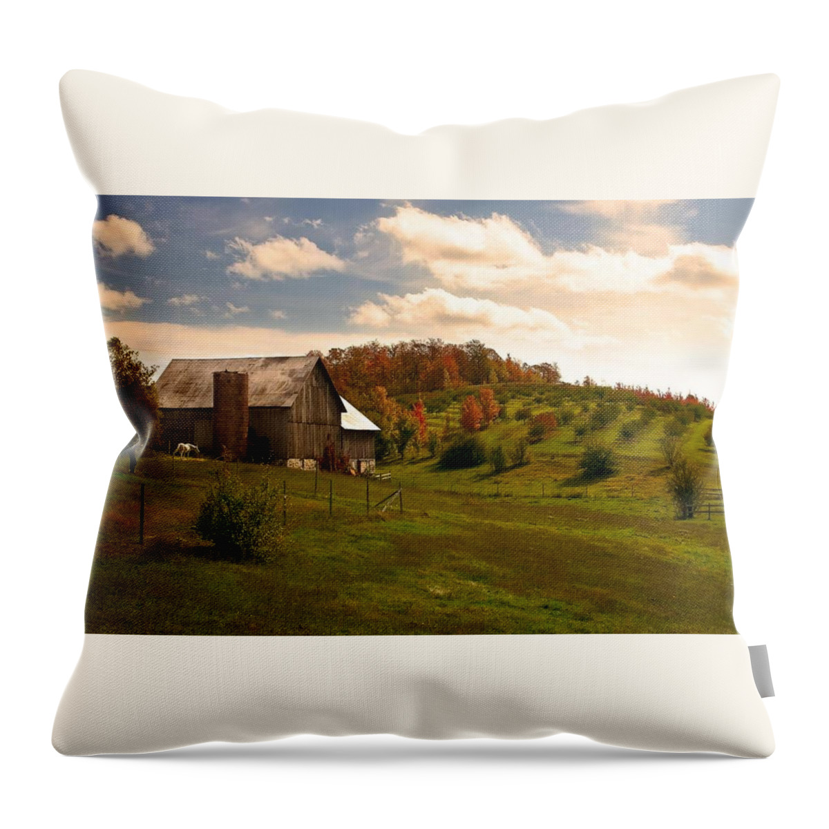Farm Throw Pillow featuring the photograph Farm #2 by Jackie Russo