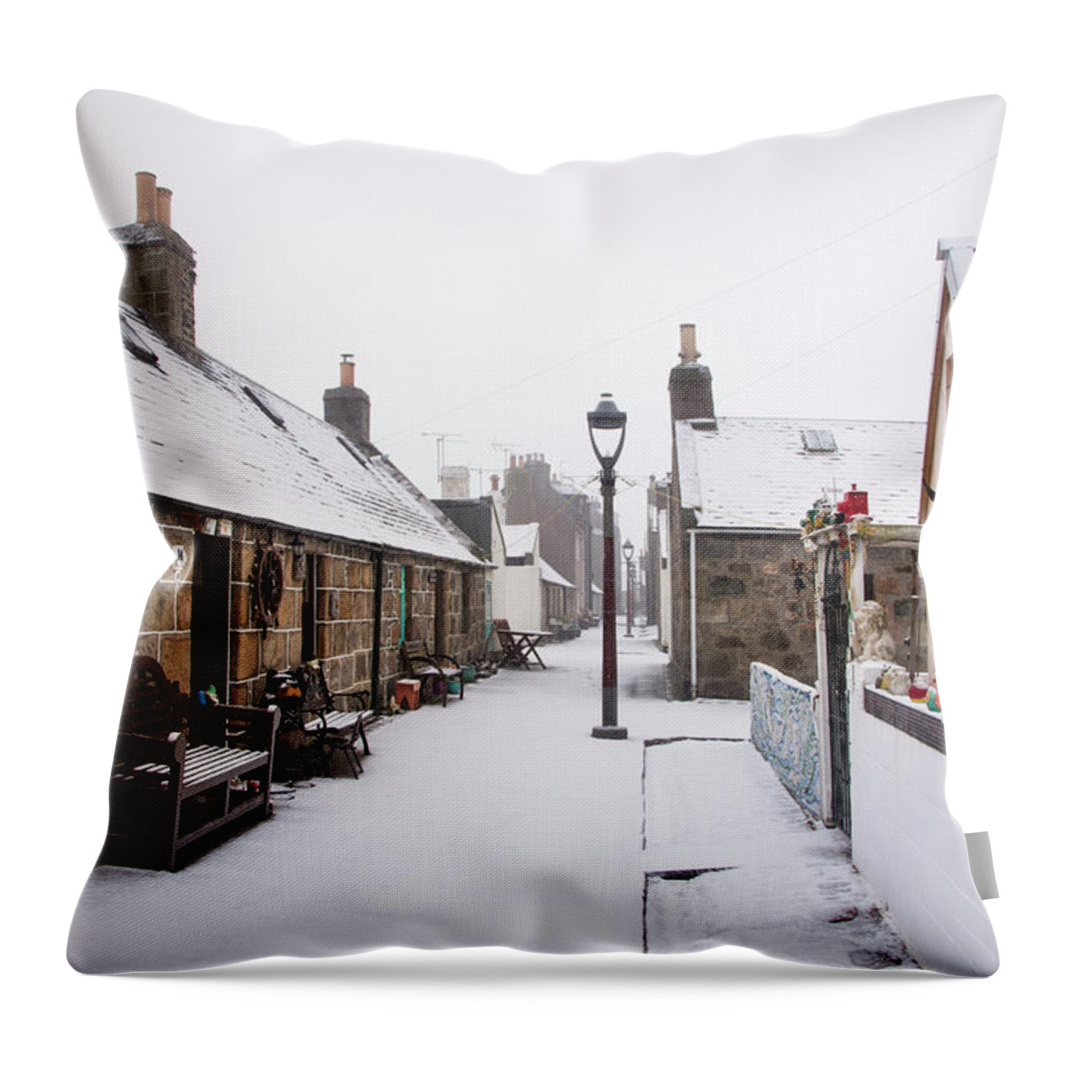 Fittie Throw Pillow featuring the photograph Fittie in the Snow #2 by Veli Bariskan