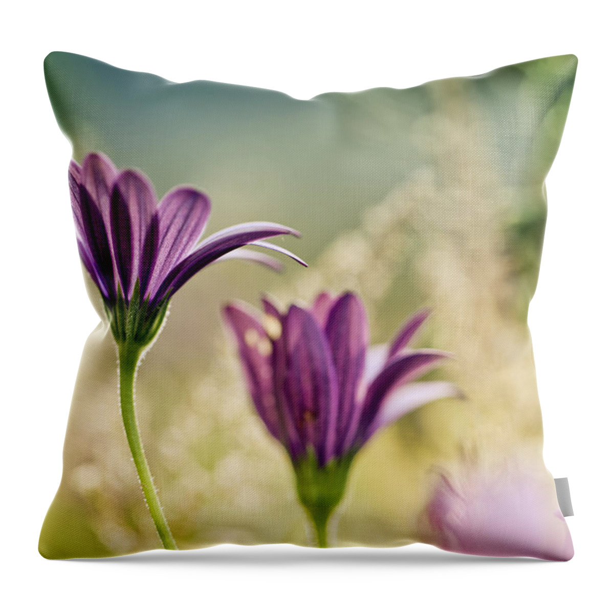 Flower Throw Pillow featuring the photograph Flower on Summer Meadow #2 by Nailia Schwarz