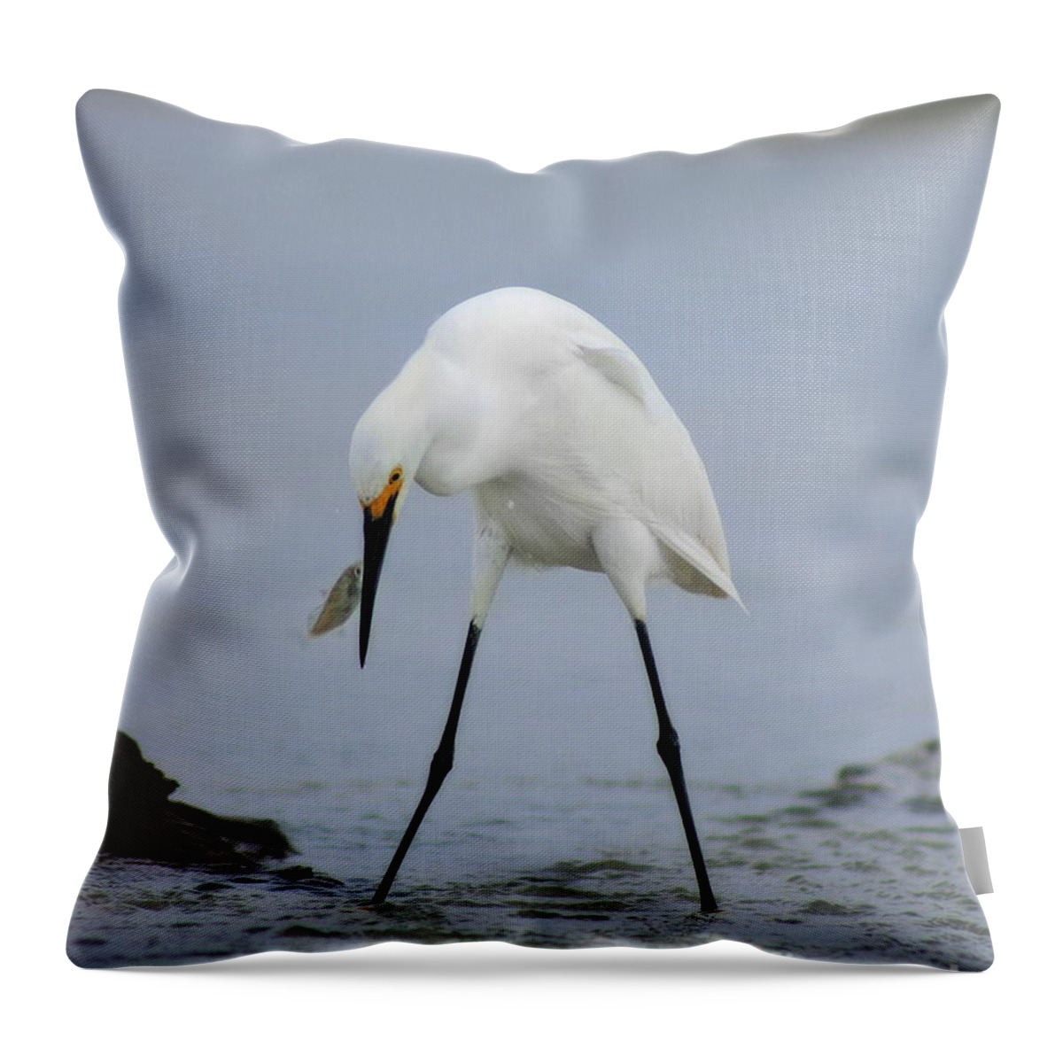  Throw Pillow featuring the photograph Got One #2 by Angela Rath