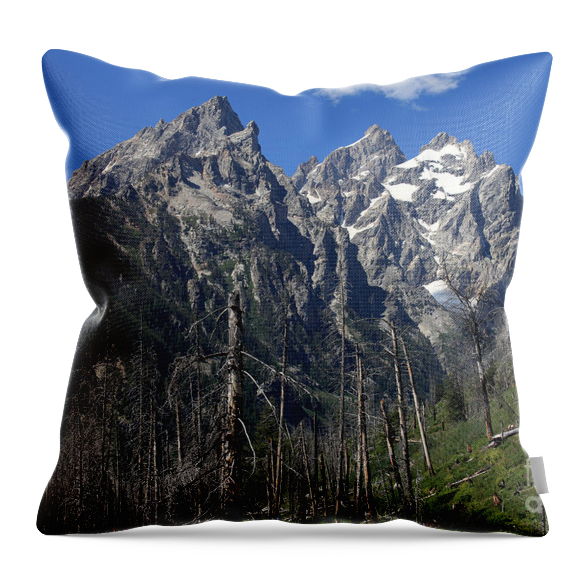 Grand Tetons Throw Pillow featuring the photograph Grand Tetons, Wyoming #2 by Ted Kinsman
