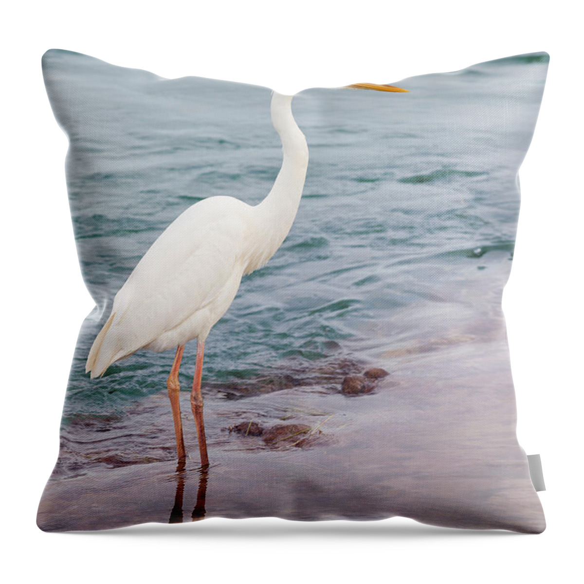 Great White Heron Throw Pillow featuring the photograph Great white heron 1 by Elena Elisseeva