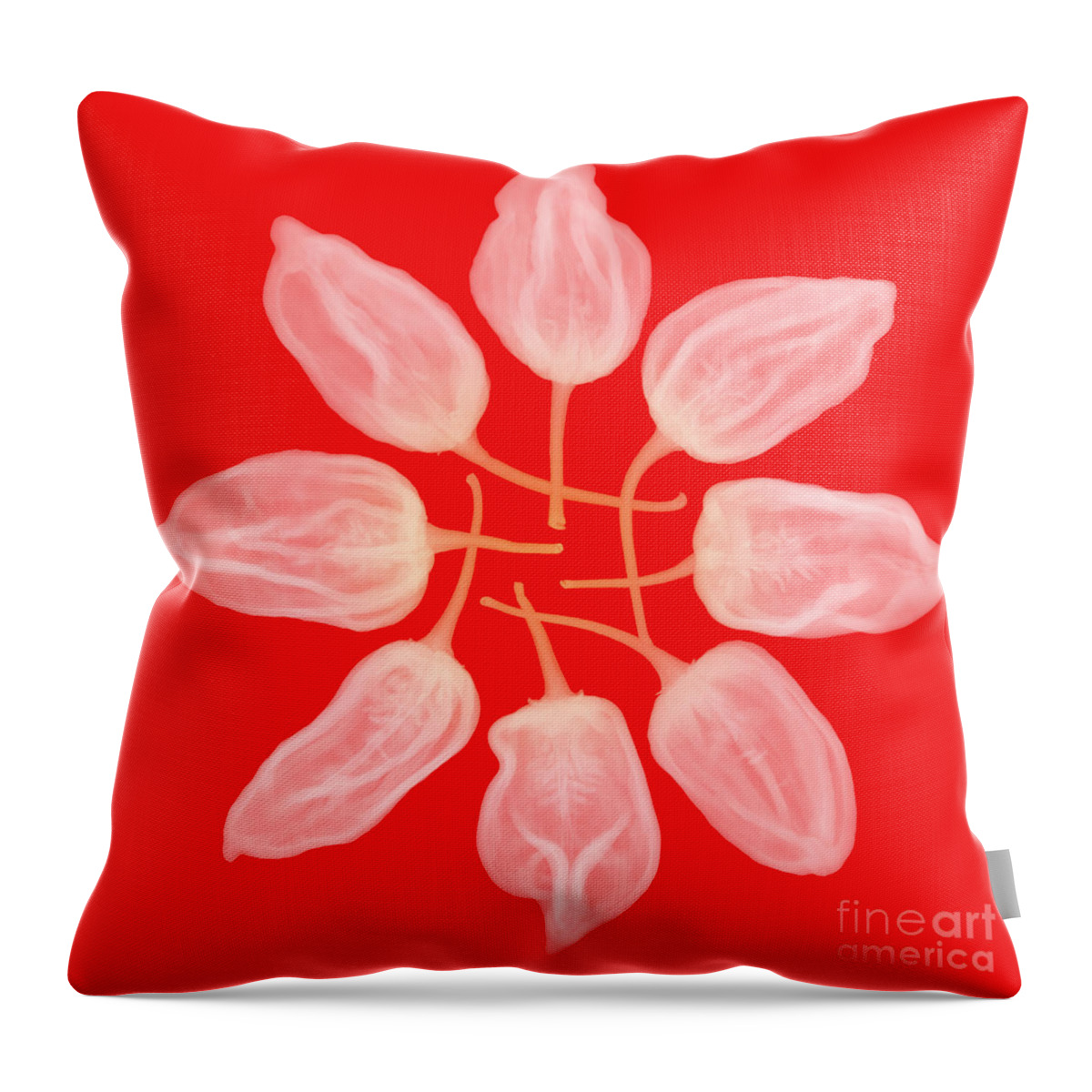Science Throw Pillow featuring the photograph Habanero Chili Peppers, X-ray #2 by Ted Kinsman