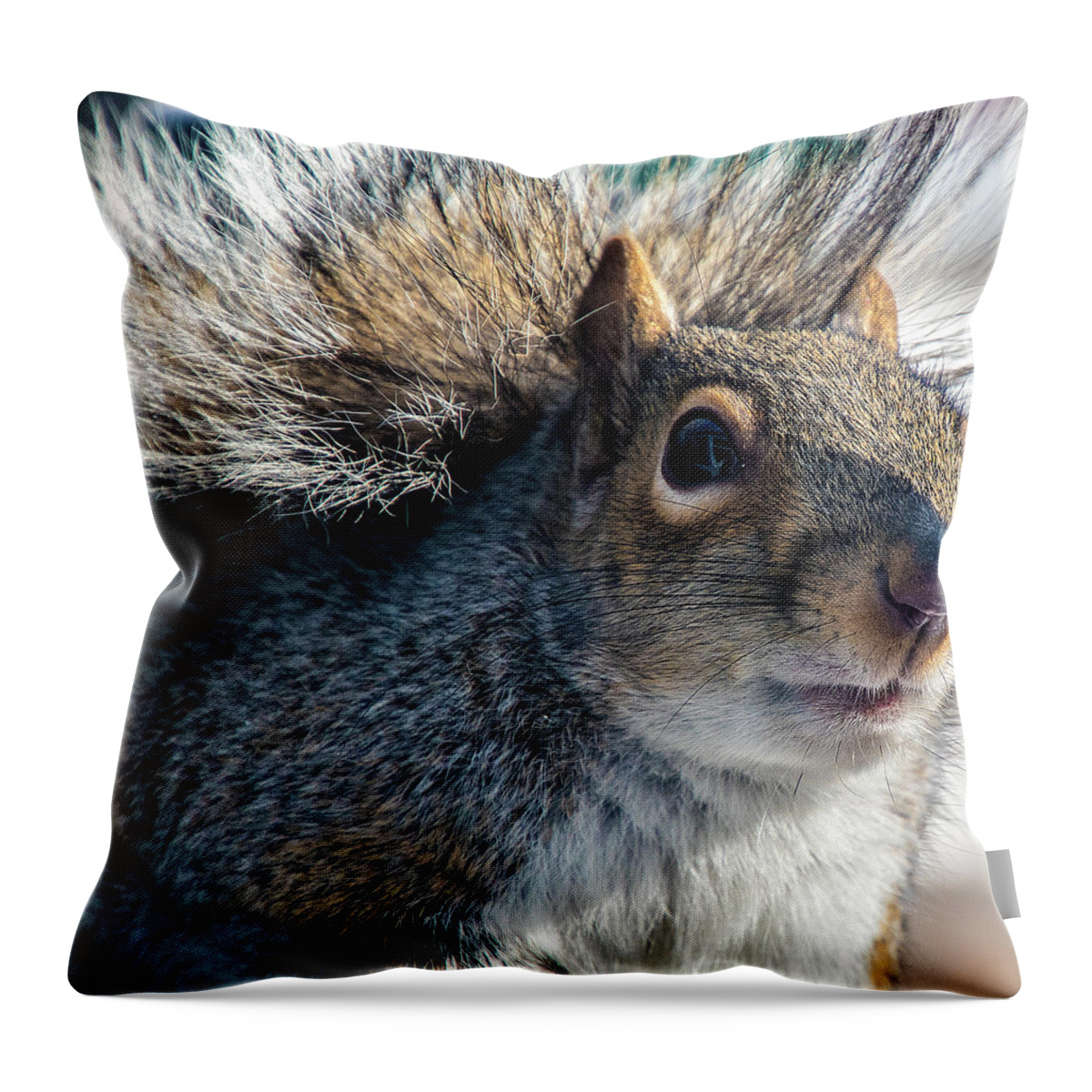 Squirrel Throw Pillow featuring the photograph Hello #2 by Cathy Kovarik