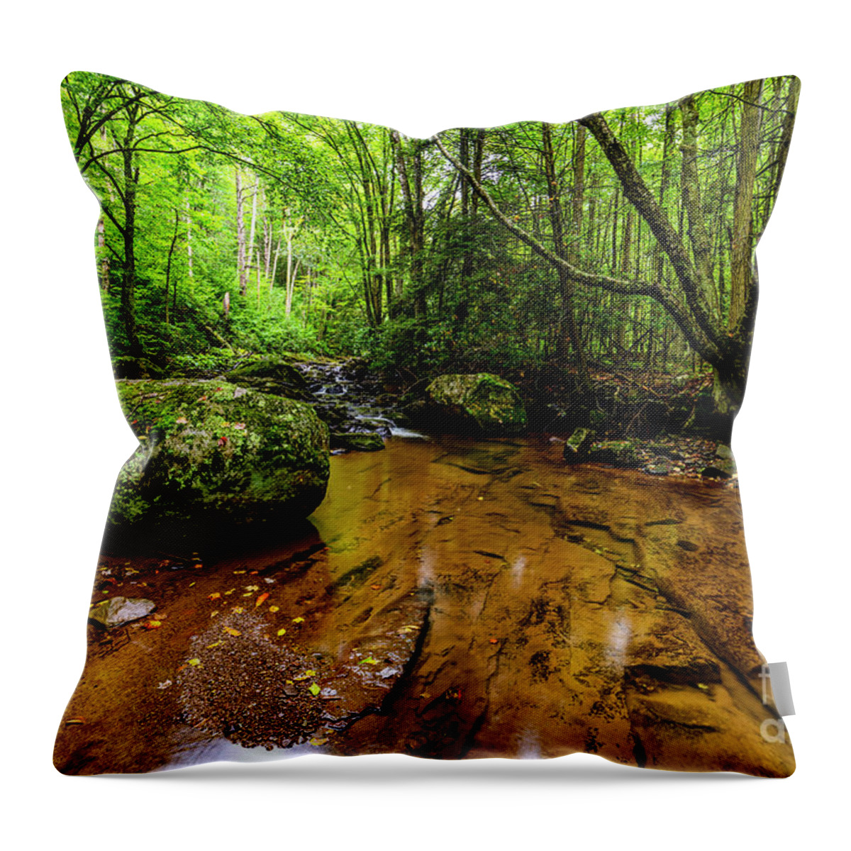 Monongahela National Forest Throw Pillow featuring the photograph Hills Creek Monongahela National Forest #2 by Thomas R Fletcher